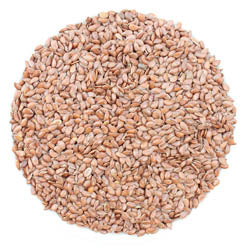 FLAX SEEDS, BROWN, ORGANIC 5 LB