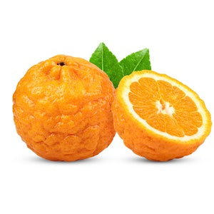 FRESH CA GOLDEN NUGGET MANDARINS, IPM, 22-25 LBS