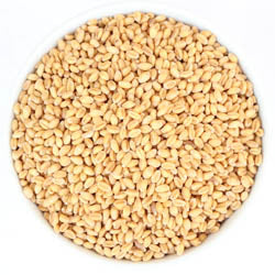 WHEAT BERRIES, SOFT WHITE, ORGANIC  50 LB BAG